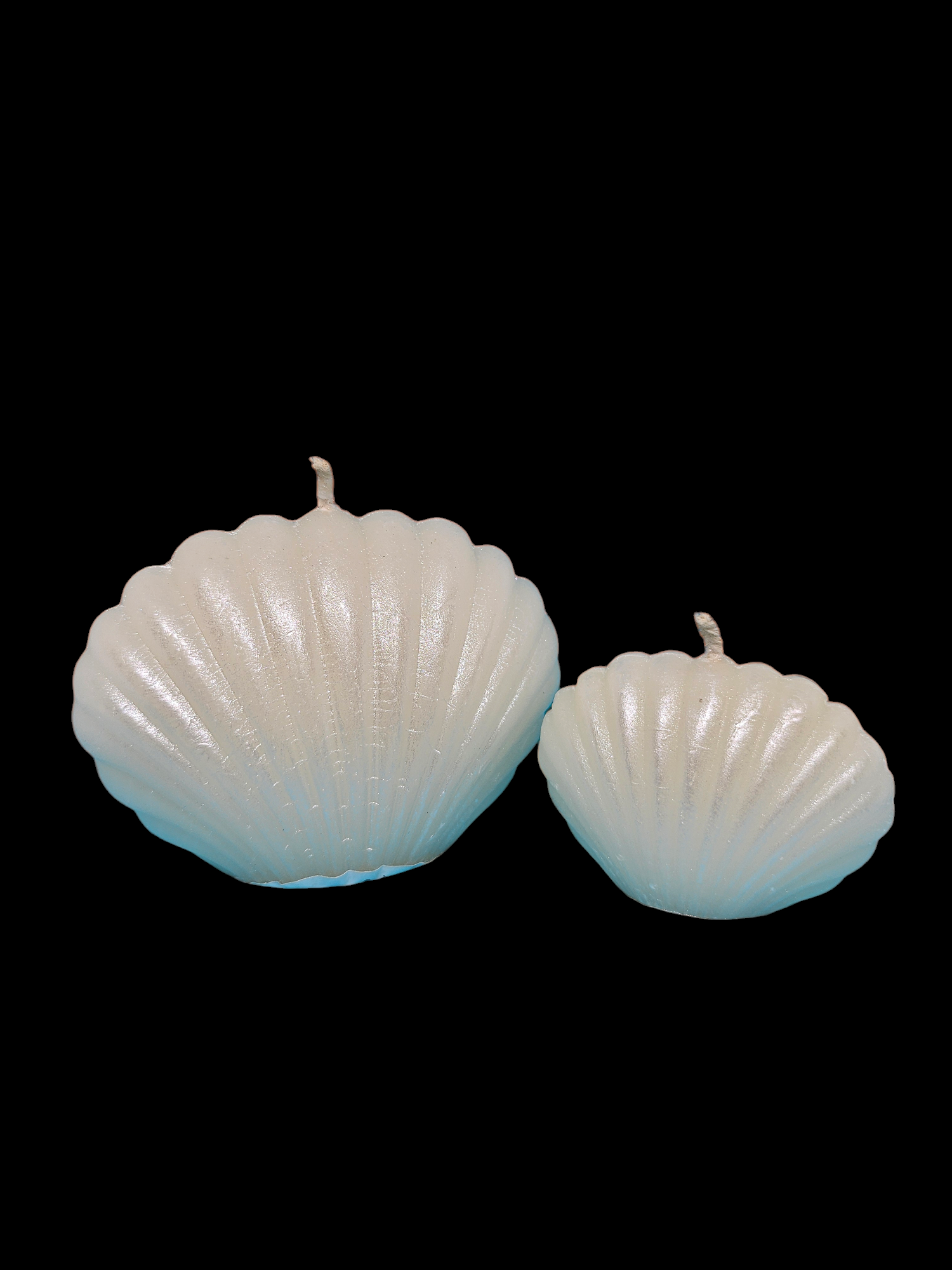 Designer 3D shell (Large & Small Set)